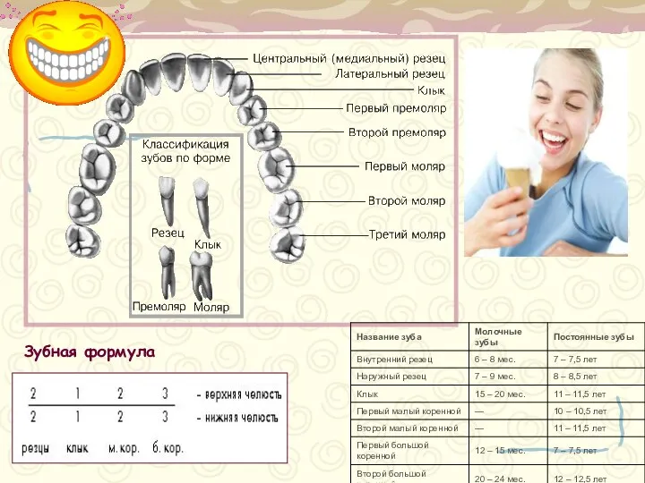 Зубная формула