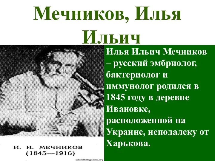 Мечников, Илья Ильич Илья Ильич Мечников – русский эмбриолог, бактериолог и