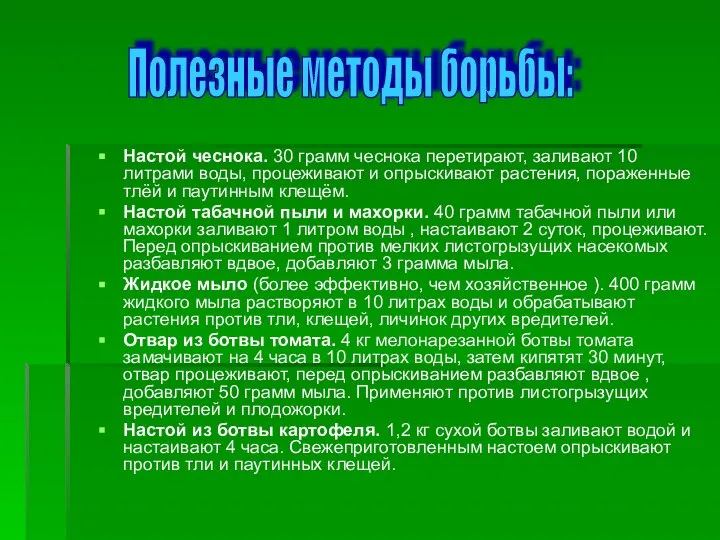 Настой чеснока. 30 грамм чеснока перетирают, заливают 10 литрами воды, процеживают