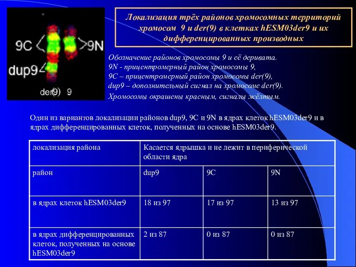 Обозначение районов хромосомы 9 и её деривата. 9N - прицентромерный район