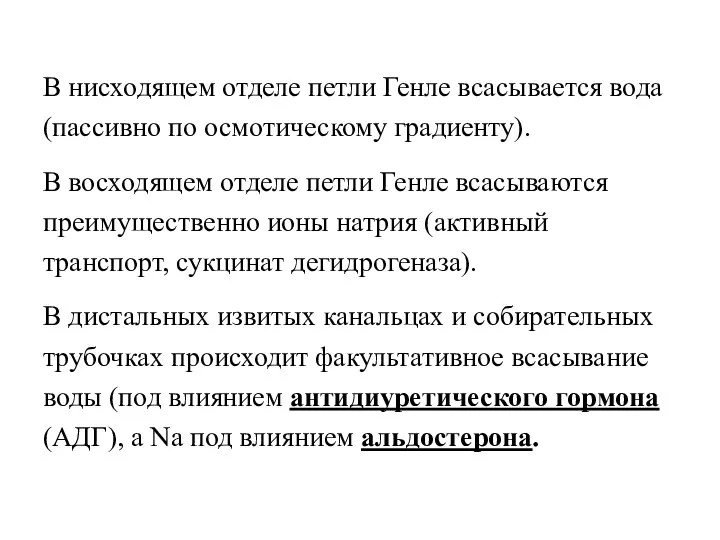 В нисходящем отделе петли Генле всасывается вода (пассивно по осмотическому градиенту).