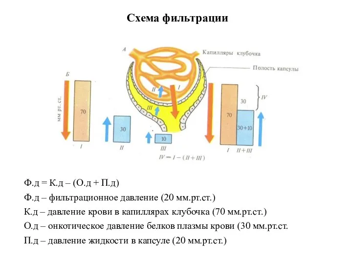 Схема фильтрации Ф.д = К.д – (О.д + П.д) Ф.д –