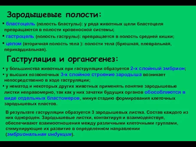 Зародышевые полости: бластоцель (полость бластулы): у ряда животных щели бластоцеля превращаются