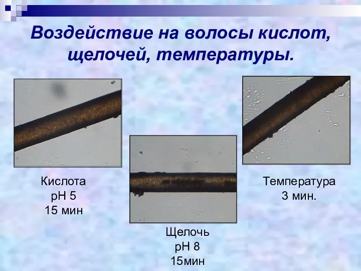 Воздействие на волосы кислот, щелочей, температуры. Кислота рН 5 15 мин