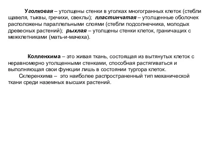 Уголковая – утолщены стенки в уголках многогранных клеток (стебли щавеля, тыквы,