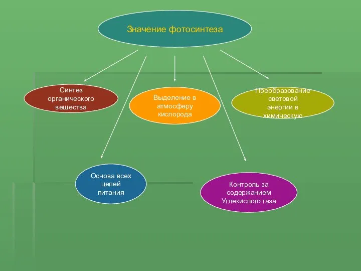Значение фотосинтеза Синтез органического вещества Выделение в атмосферу кислорода Преобразование световой
