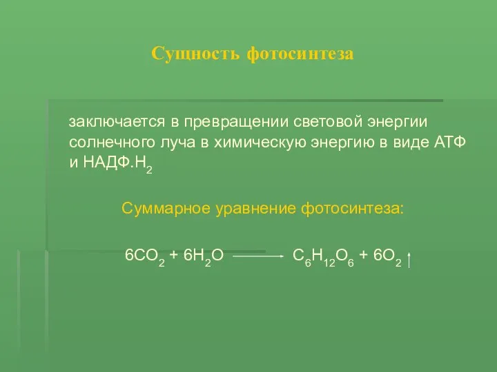 Сущность фотосинтеза заключается в превращении световой энергии солнечного луча в химическую