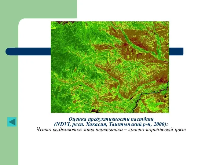 Оценка продуктивности пастбищ (NDVI, респ. Хакасия, Таштыпский р-н, 2000): Четко выделяются зоны перевыпаса – красно-коричневый цвет