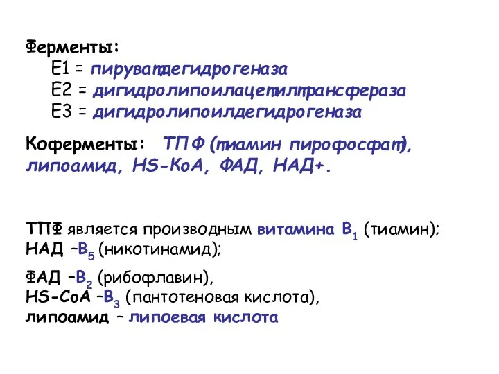 Ферменты: E1 = пируватдегидрогеназа E2 = дигидролипоилацетилтрансфераза E3 = дигидролипоилдегидрогеназа Коферменты: