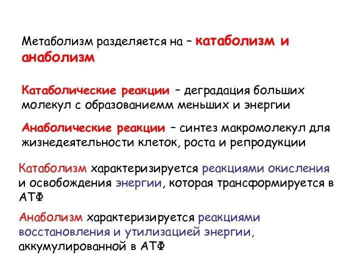 Катаболические реакции – деградация больших молекул с образованиемм меньших и энергии