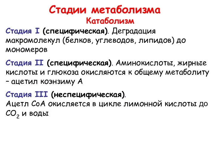 Стадии метаболизма Катаболизм Стадия I (специфическая). Деградация макромолекул (белков, углеводов, липидов)