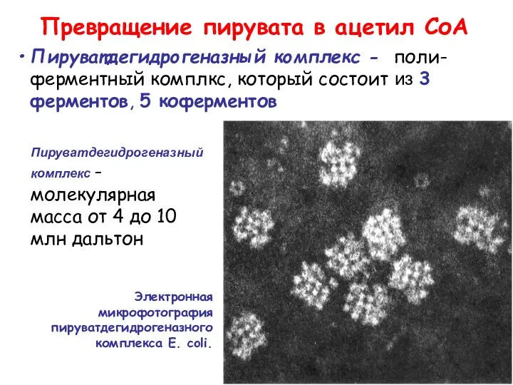 Пируватдегидрогеназный комплекс - поли-ферментный комплкс, который состоит из 3 ферментов, 5