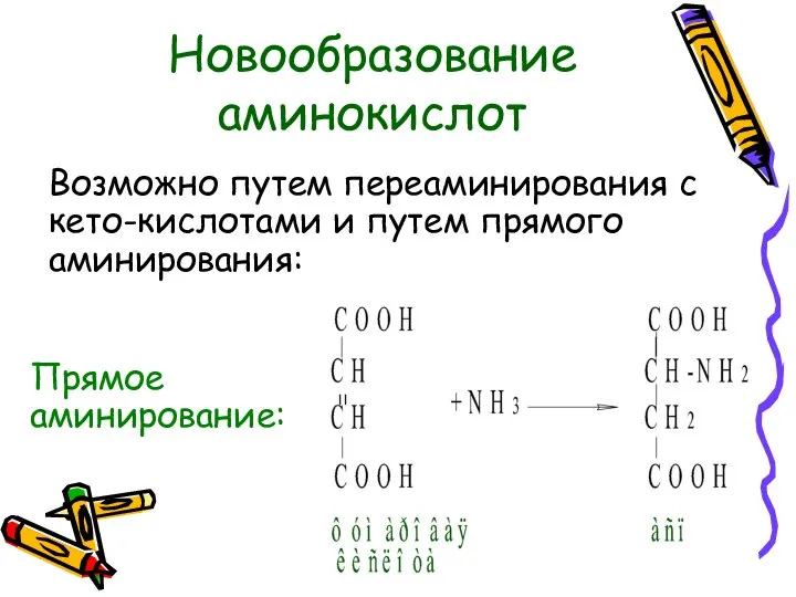 Новообразование аминокислот Возможно путем переаминирования с кето-кислотами и путем прямого аминирования: Прямое аминирование: