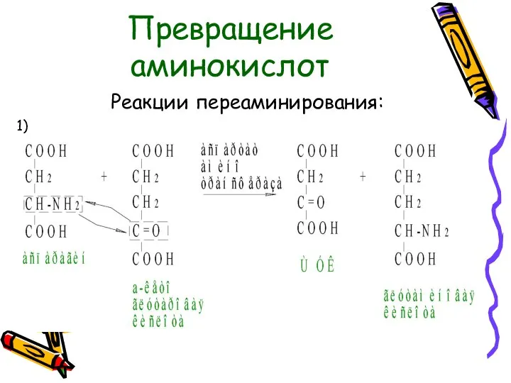 Превращение аминокислот Реакции переаминирования: 1)