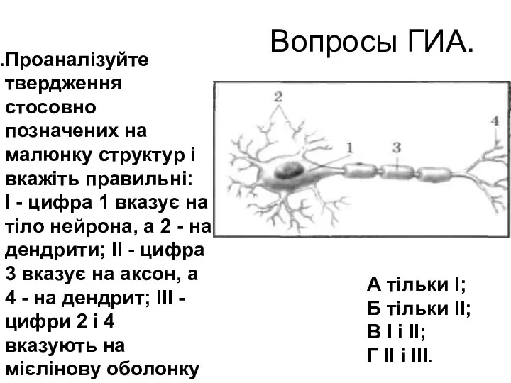 Вопросы ГИА. Проаналізуйте твердження стосовно позначених на малюнку структур і вкажіть