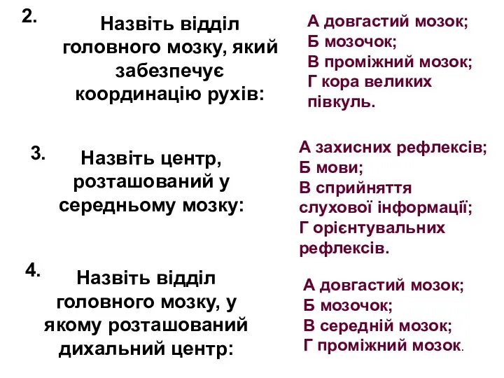 Назвіть відділ головного мозку, який забезпечує координацію рухів: 2. А довгастий