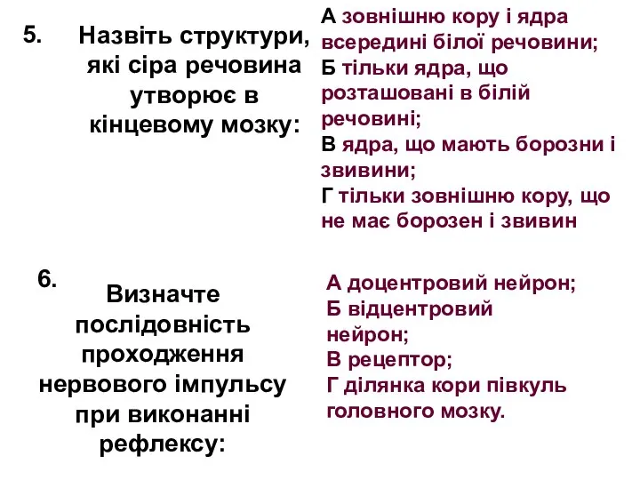 Назвіть структури, які сіра речовина утворює в кінцевому мозку: А зовнішню