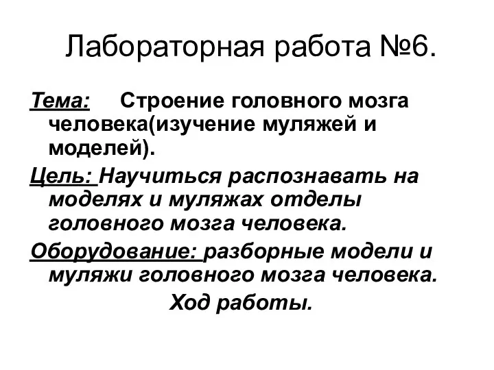 Лабораторная работа №6. Тема: Строение головного мозга человека(изучение муляжей и моделей).