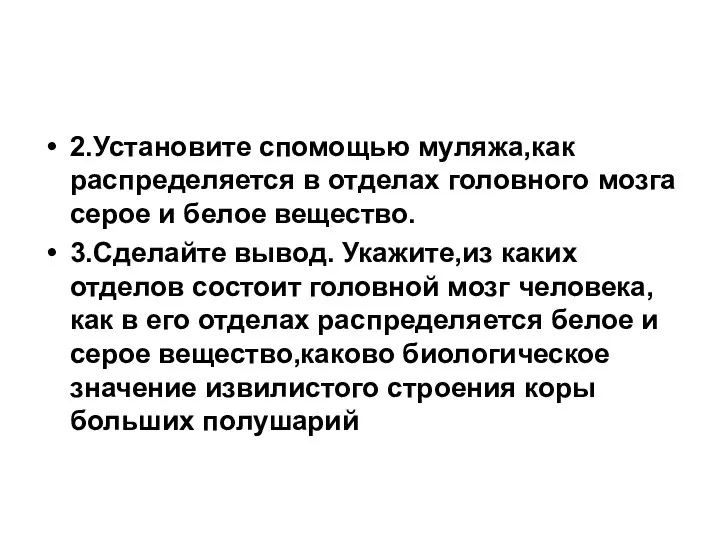 2.Установите спомощью муляжа,как распределяется в отделах головного мозга серое и белое