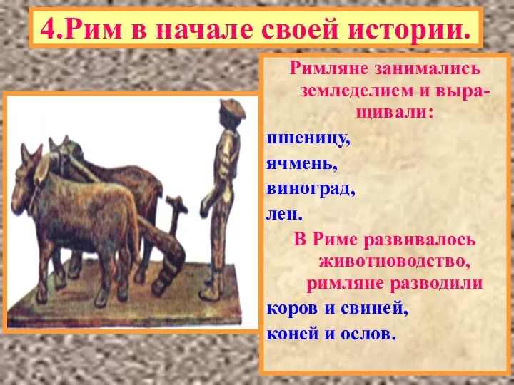 4.Рим в начале своей истории. Римляне занимались земледелием и выра-щивали: пшеницу,