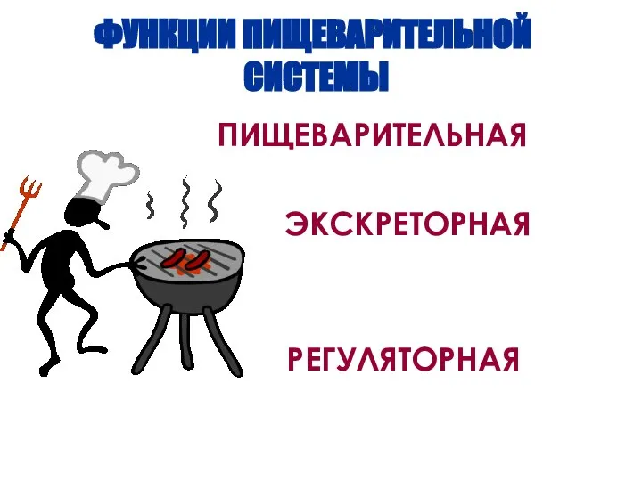 ФУНКЦИИ ПИЩЕВАРИТЕЛЬНОЙ СИСТЕМЫ ПИЩЕВАРИТЕЛЬНАЯ ЭКСКРЕТОРНАЯ РЕГУЛЯТОРНАЯ