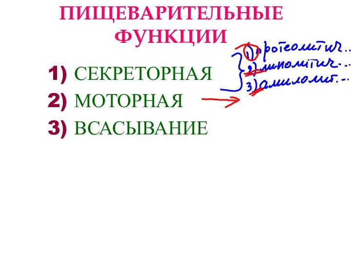 ПИЩЕВАРИТЕЛЬНЫЕ ФУНКЦИИ 1) СЕКРЕТОРНАЯ 2) МОТОРНАЯ 3) ВСАСЫВАНИЕ