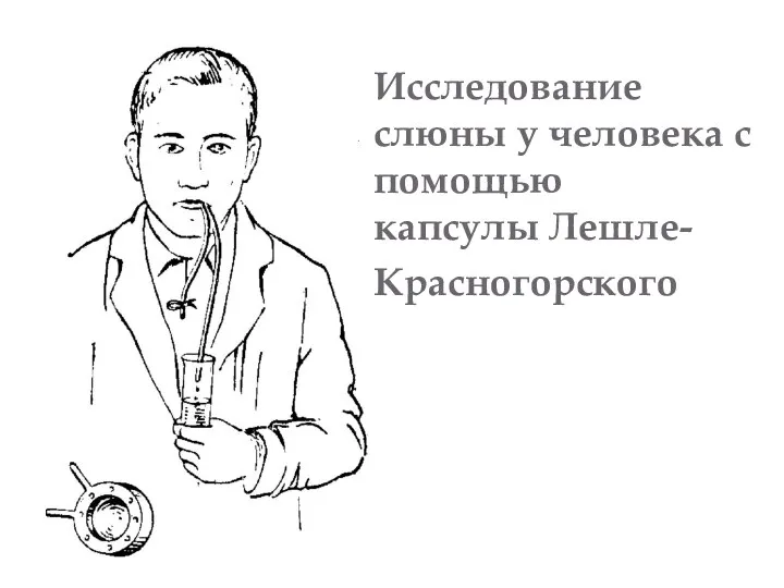 Исследование слюны у человека с помощью капсулы Лешле-Красногорского