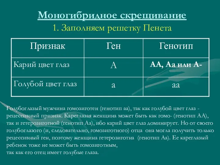 Моногибридное скрещивание 1. Заполняем решетку Пенета Голубоглазый мужчина гомозиготен (генотип аа),