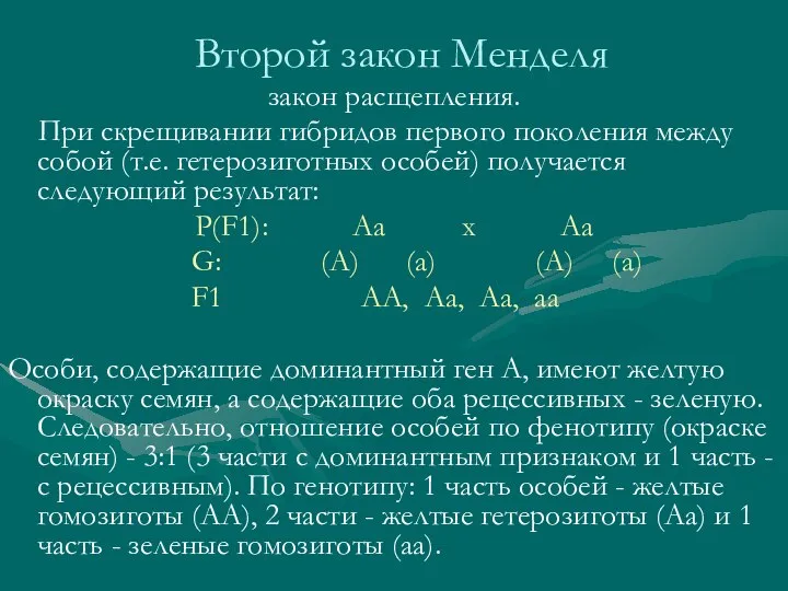 Второй закон Менделя закон расщепления. При скрещивании гибридов первого поколения между