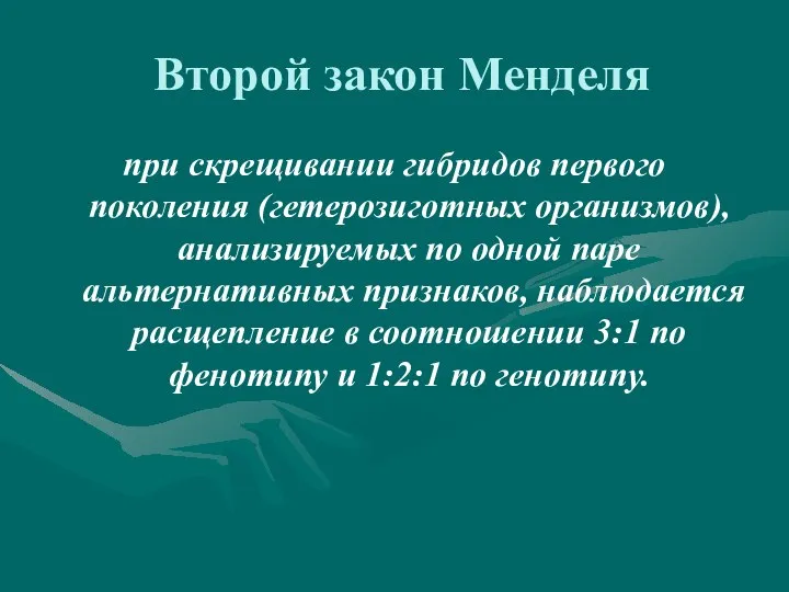 Второй закон Менделя при скрещивании гибридов первого поколения (гетерозиготных организмов), анализируемых