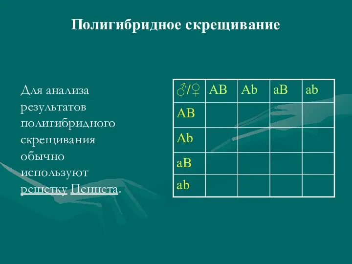 Для анализа результатов полигибридного скрещивания обычно используют решетку Пеннета. Полигибридное скрещивание