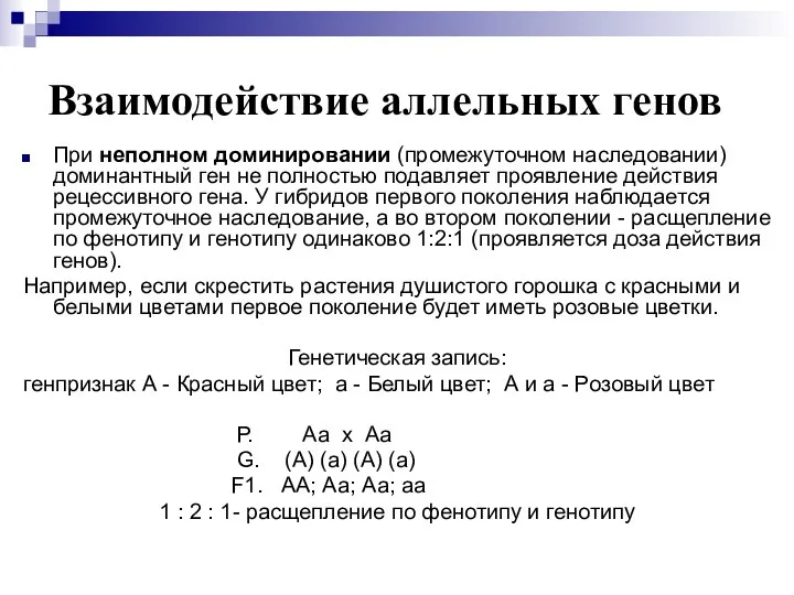 Взаимодействие аллельных генов При неполном доминировании (промежуточном наследовании) доминантный ген не