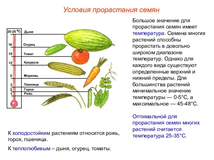 Большое значение для прорастания семян имеет температура. Семена многих растений способны