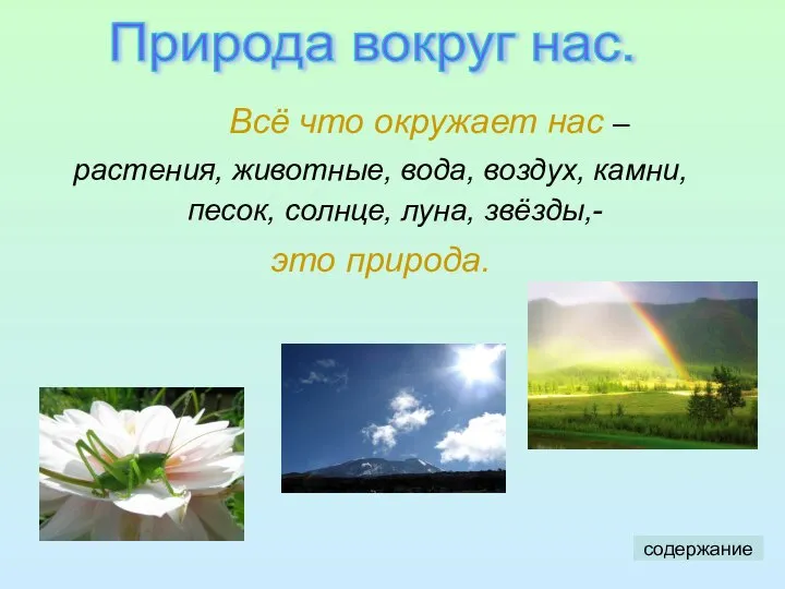 Всё что окружает нас – растения, животные, вода, воздух, камни, песок,