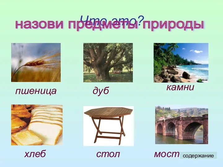 Что это? назови предметы природы пшеница дуб камни хлеб стол мост содержание