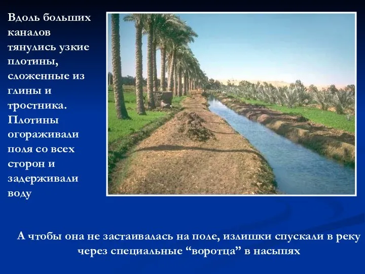 Вдоль больших каналов тянулись узкие плотины, сложенные из глины и тростника.