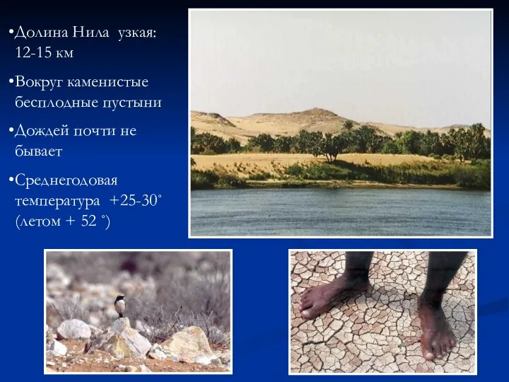 Долина Нила узкая: 12-15 км Вокруг каменистые бесплодные пустыни Дождей почти