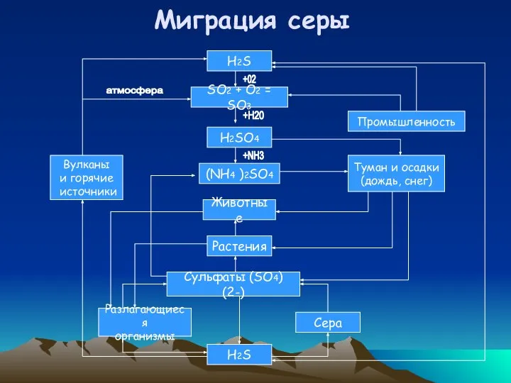 Миграция серы H2S SО2 + O2 = SО3 H2SO4 Животные Растения