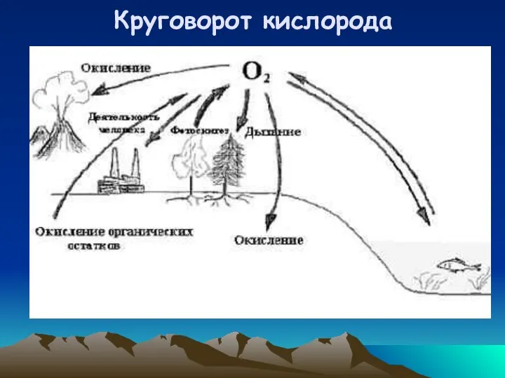 Круговорот кислорода