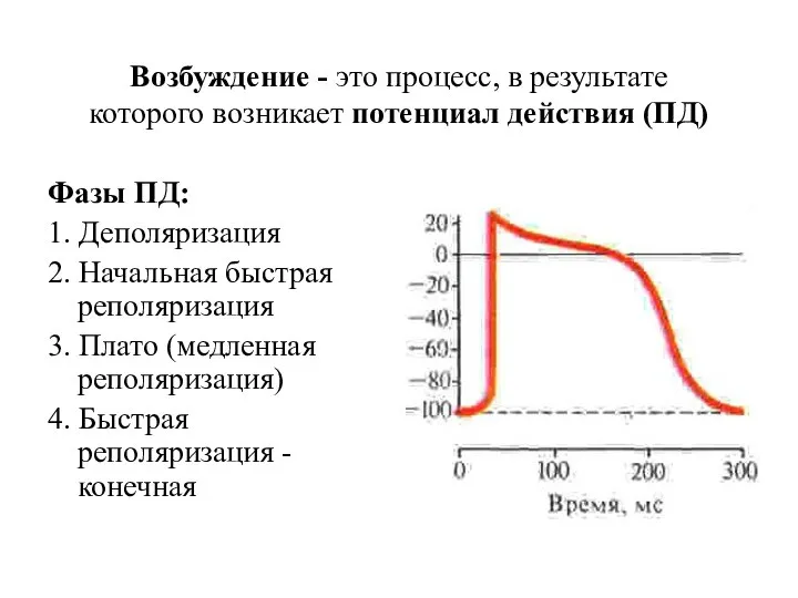 Возбуждение - это процесс, в результате которого возникает потенциал действия (ПД)