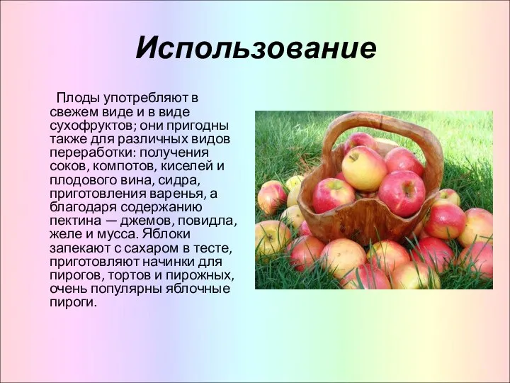 Использование Плоды употребляют в свежем виде и в виде сухофруктов; они