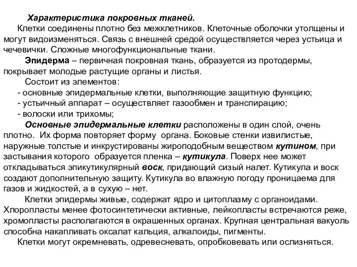 Характеристика покровных тканей. Клетки соединены плотно без межклетников. Клеточные оболочки утолщены