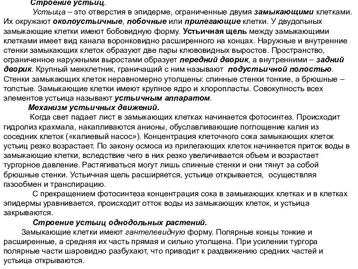 Строение устьиц. Устьица – это отверстия в эпидерме, ограниченные двумя замыкающими