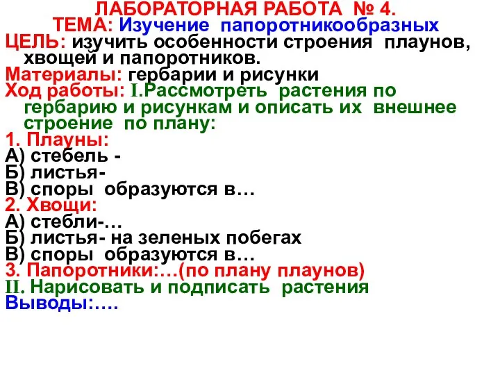 ЛАБОРАТОРНАЯ РАБОТА № 4. ТЕМА: Изучение папоротникообразных ЦЕЛЬ: изучить особенности строения