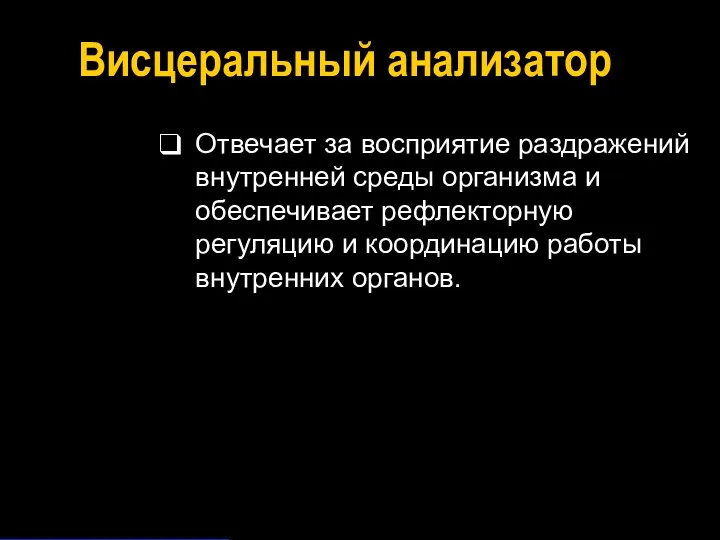 Висцеральный анализатор Отвечает за восприятие раздражений внутренней среды организма и обеспечивает