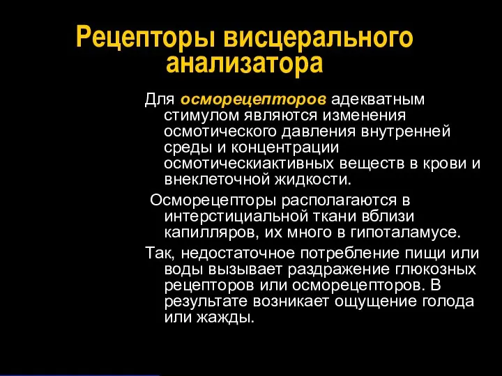 Рецепторы висцерального анализатора Для осморецепторов адекватным стимулом являются изменения осмотического давления