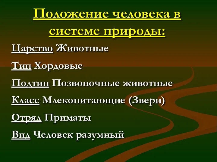 Положение человека в системе природы: Царство Животные Тип Хордовые Подтип Позвоночные