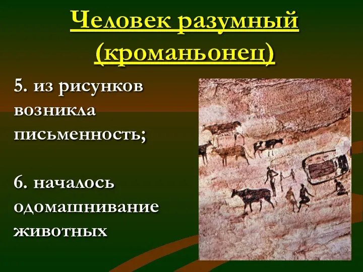 Человек разумный (кроманьонец) 5. из рисунков возникла письменность; 6. началось одомашнивание животных