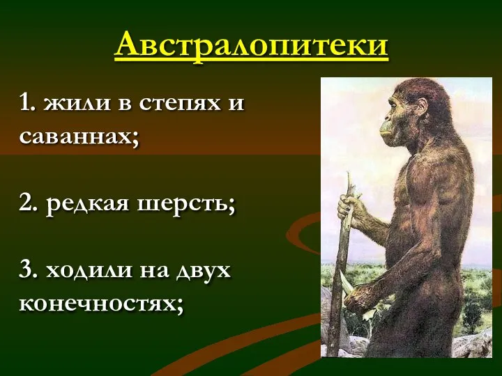 Австралопитеки 1. жили в степях и саваннах; 2. редкая шерсть; 3. ходили на двух конечностях;