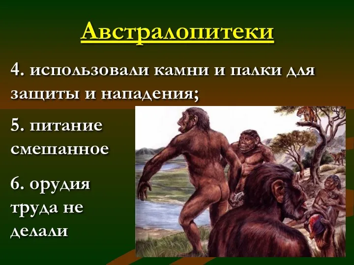 Австралопитеки 4. использовали камни и палки для защиты и нападения; 5.